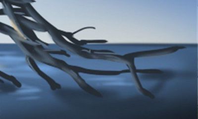 探究不同种类蛇的吉祥数字及其意义