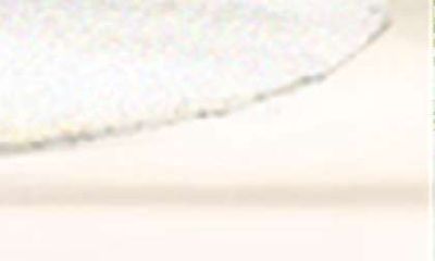 如何在家中摆放银柳以带来幸福和好运?