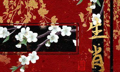 哪些生肖与属龙配对最佳?属蛇与哪些生肖最搭配成功?