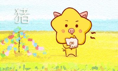 2019年出生的婴儿是否真的属于金猪属相?