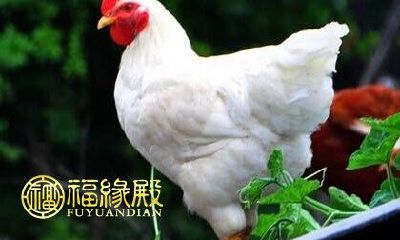 通过生肖来识别、赋予个体与财富缘分的天赐机制——揭秘受财神爷庇佑的生肖集合