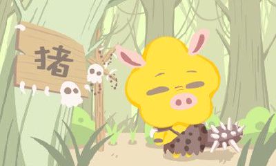 2019年属猪的人运势预测:探究今年猪的命理意义