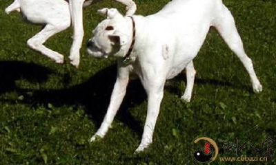 年龄结构改变引发健康关注:从1982年出生人群的终身寿命和老年人的建议中探讨保健重要性