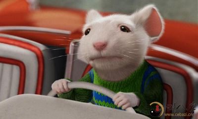 为你揭示:属鼠人后半辈子运势的须知,不可错过!