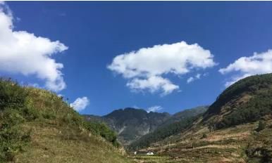 为什么我的丈夫会选择出轨行为:深入探讨他的心理与行为背景