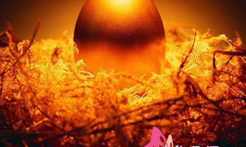 探究你的贫穷原因:为何你身无分文?