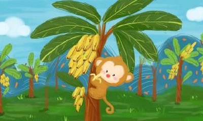 你知道属猴子出生的人命格如何吗?全面了解生肖猴人的性格和命运!