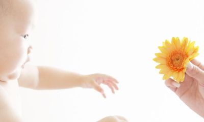 为何在根据生辰八字起名时,某些命格不能使用含有木元素的名字?