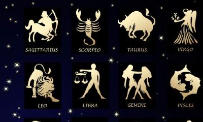 在十二星座的恋爱选择中,是否更偏好外貌还是财富?