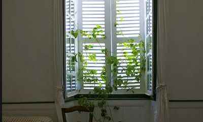 如何通过精心设计和摆放窗户来吸引财富和好运:家居窗户的风水学解析和风水布置技巧