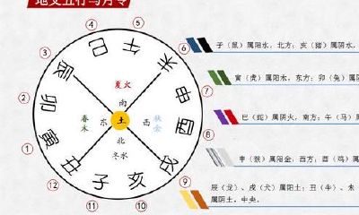 八字命理的深远意蕴:探究十二生肖与八字组合所彰显出的巨大影响力