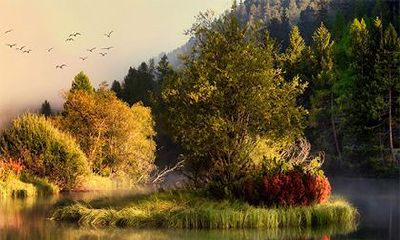 探究俞姓在百家姓中的排名情况并分析俞姓在不同地域的分布情况