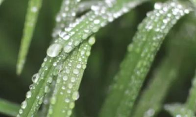 七杀并非像传说中一样可怕,实际上可以被应对