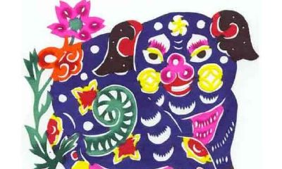 属猪的人,哪个年份的运程最为亮眼?全面解析猪年出生的人在不同年份的生肖运势