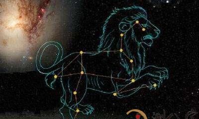 狮子座是否爱而不清,亦或是恨而不明:思辨星座之迷思