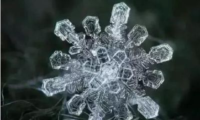 心理测试:通过选择你最喜欢的雪花来测出你心中难以忘怀的人,而我自己则是对初恋难以释怀