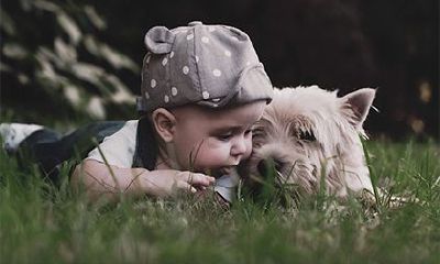 精选适合2022立夏出生的属虎男孩,兼具缺乏金洋气与独特个性的名字