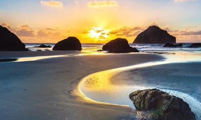 利用伤官破煞的八字法则,即便身体虚弱也不宜过度依赖印记五行的作用!