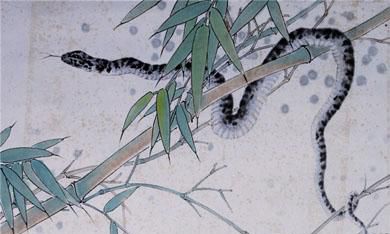 探究十二生肖之蛇的传说神话及其独特性格特点