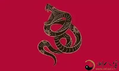 十二生肖智商排名大揭秘:属蛇高智商,属猴精明过人!