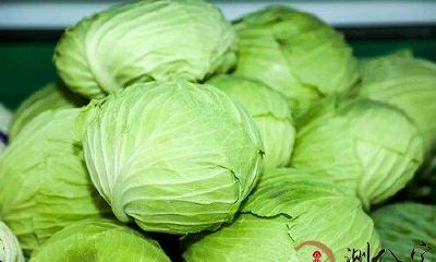 在梦中亲眼目睹了一位身穿劳动服,在菜地里砍割油麦菜的人的情景