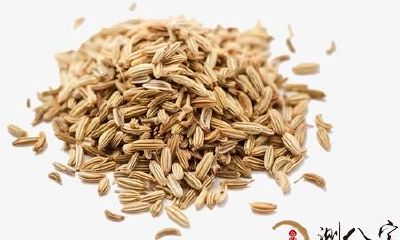 一位梦中采摘小茴香叶片的奇异经历