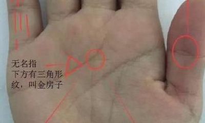 经过万世验证的幸运命格:拥有干万身价的掌纹,财富充足,好命格惠及一生