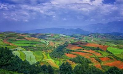 2019年7月23日诞生的双胞胎女婴,应该给她们起什么优美的名字,并且应该采用何种五行元素属性?