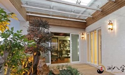 探究非洲菊的风水效应及其在三大水运中的应用