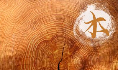 如何为出生于2019年12月22日的双胞胎女孩起名字并确定其五行属相?