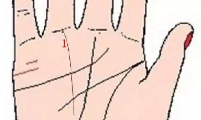 揭秘九大财富纹,拥有者有望轻松发大财!