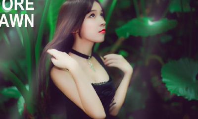 2021年牛宝宝新生命起源:创意取名,展现牛群中的独特气质和魅力无限!