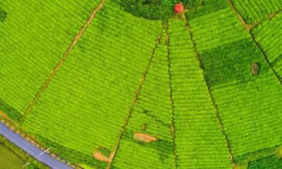 如何给2019年9月11日出生的双胞胎女孩取名,根据五行属于什么?