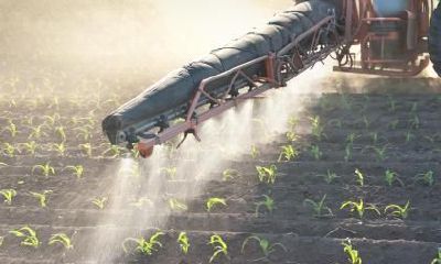 探讨2019年9月19日出生女婴如何选择姓名,以及五行属性的相关问题