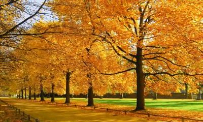 什么样的名字适合在2019年9月10号子时出生的女孩,符合哪种五行属性?