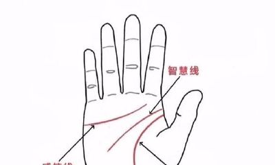 比较和分析双手的感情线,揭示您此生感情归属的终极秘密