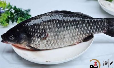 在梦中捕获一条草鱼:体验富饶水域中的钓鱼之旅!