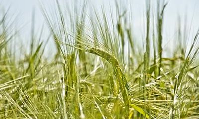 2019年9月22号出生的双胞胎女孩,应该怎么起名字比较合适呢?根据五行理论,双胞胎女孩的命格应该属于哪一种五行属性呢?