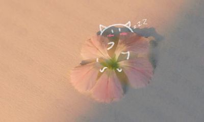 这位平日沉稳严肃,却在戏谑幽默时表现游刃有余的狮子座女性,以她机智俏皮、可爱迷人的个性让人心动不已!