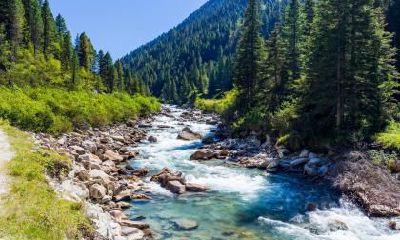 2019年10月31日诞生的双胞胎女婴命名之道及其五行属性如何确定?