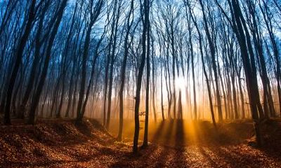 建议给2019年7月20日申时出生的女孩取名,需要考虑五行的影响