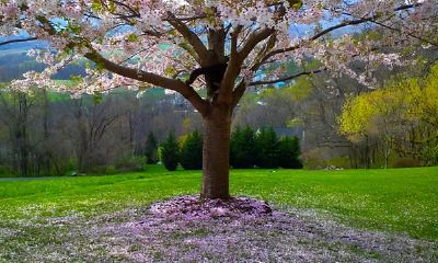 双子座2021年工作运程展望:保持上进心,踏实发展,必将迎来新突破