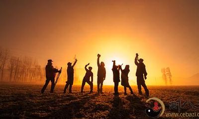 在梦中追逐死尸:一场离奇恐怖之旅