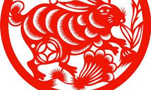 属相兔的性格特征及行为习惯——详尽分析十二生肖之一