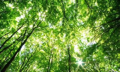 如何为出生于2019年6月17日并五行缺土的女宝宝选取一个合适的名字?