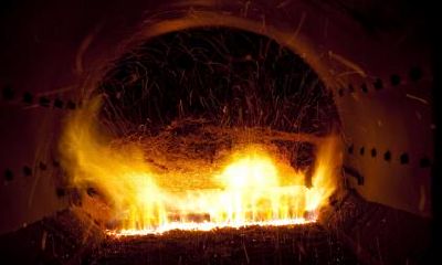 五行缺木宝宝命名指南:探究2019年7月18日出生的女婴如何得到合适的名字!