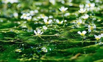 如何给2019年9月25号寅时出生的女孩取一个与五行相符的合适名字?