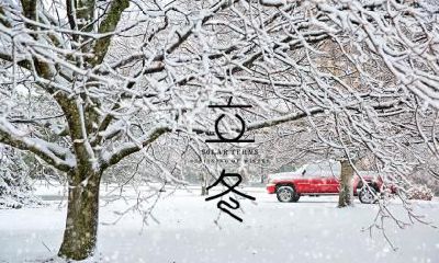 针对立冬出生的女孩,推荐使用何种字眼进行取名?