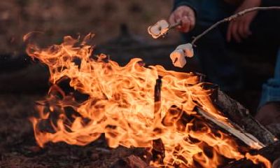如何为6月4日晚上11点出生的女婴取名?