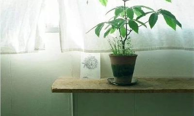 喜迎庚午月!探究八字命理,揭开运程的神秘面纱!